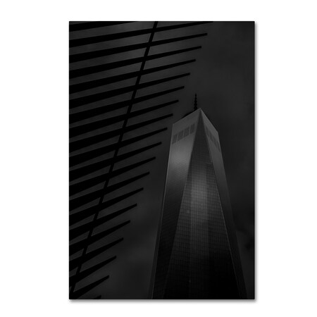 Trademark Fine Art Moises Levy 'Z0' Canvas Art, 30x47 ALI16642-C3047GG